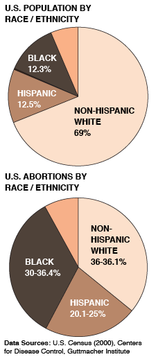 Race Abortions Graph