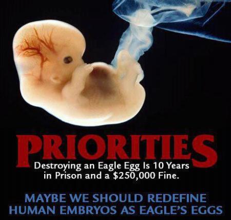 Abortion V Eagle Egg