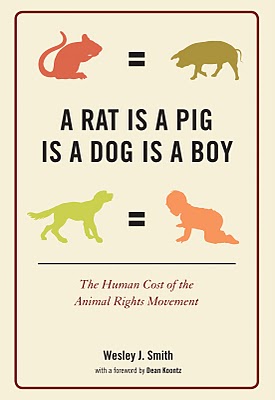 Rat Pig Dog Boy